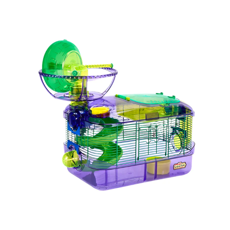 Miniatura 1